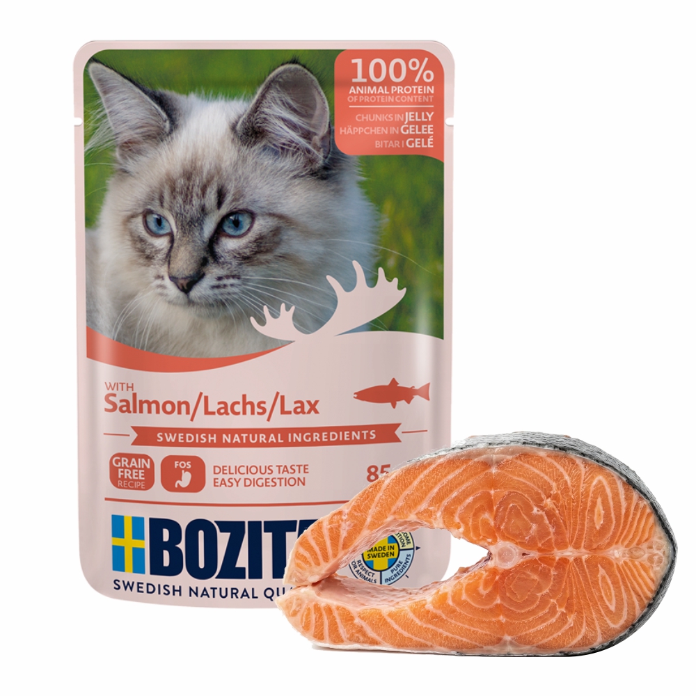BOZITA karma dla kota w galarecie z łososiem 85g